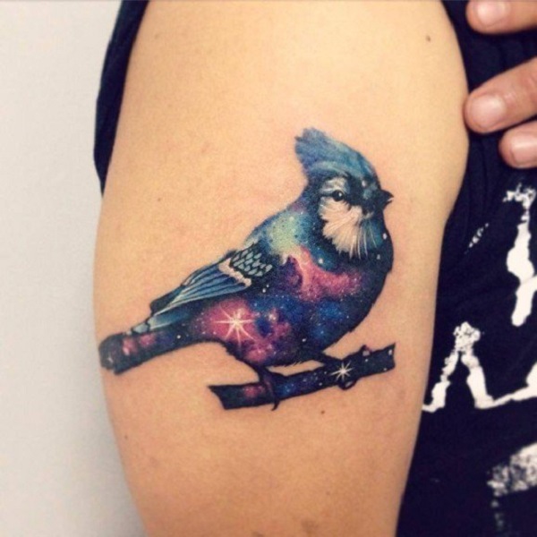 red and cardinal blue jay tattoo designs pictures to pin on red and cardinal blue jay tattoo designs pictures to pin on