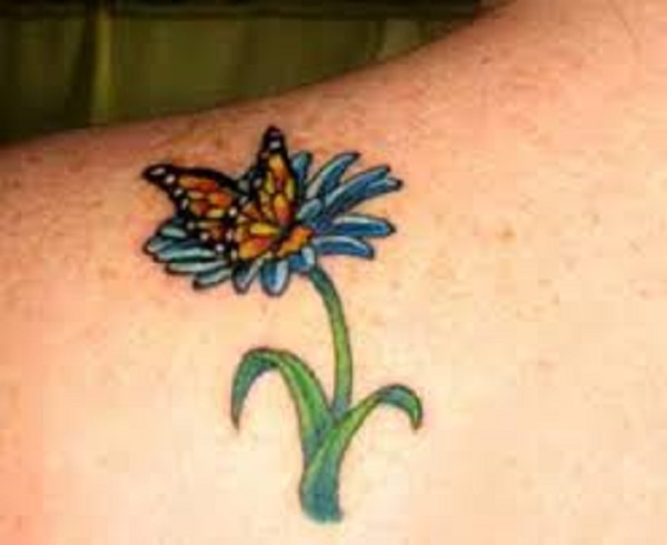 Monarch butterfly and blue daisy 19