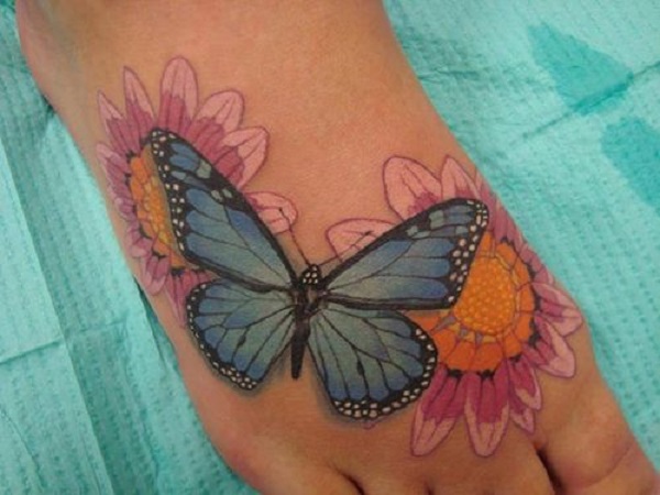 Butterfly and gerbera