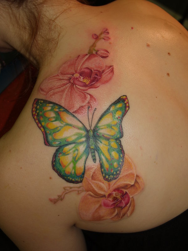 Butterfly Flower Tattoos On Arm For Women Butterfly Tattoos HD wallpaper   Peakpx