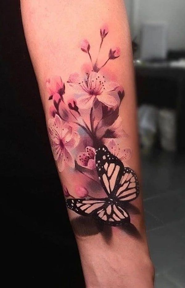Cherry blossoms and butterfly