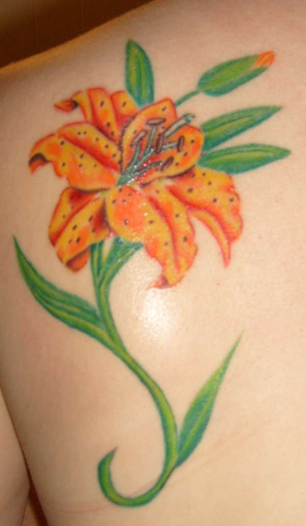 60 Beautiful Lily Tattoo Ideas nenuno creative