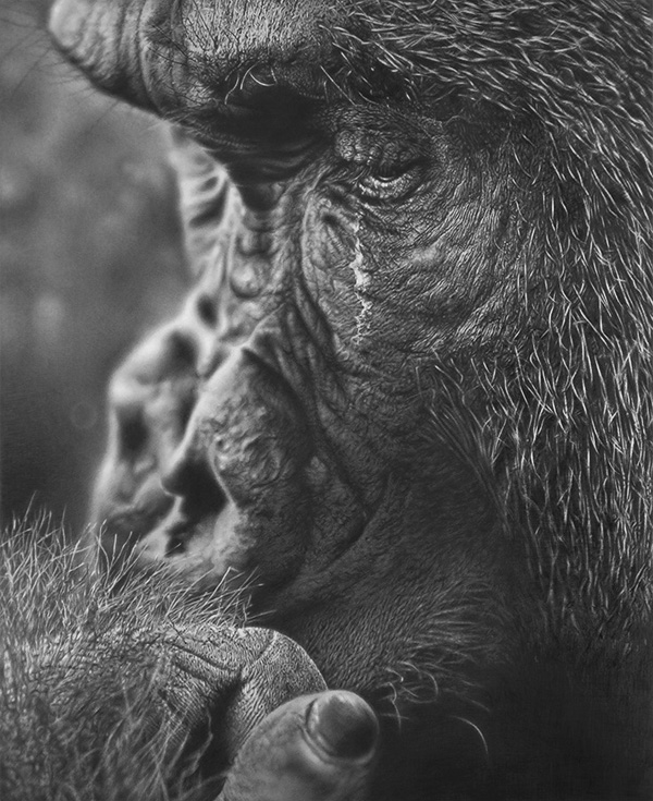 Amazing Pencil Drawings Nenuno Creative