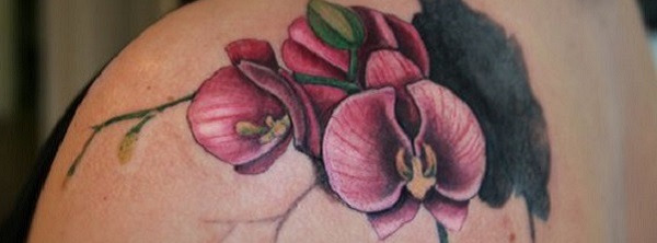 A Darker Path Tattoo Studio - Orchids done by Mackenzie Meyers]. • Give  Mackenzie Meyers] a follow to see more work and catch future openings. •  #adarkerpathtattoostudio #mackenziemeyerstattoos #nwitattoo  #colorrealismtattoo #colorrealism #orchid ...