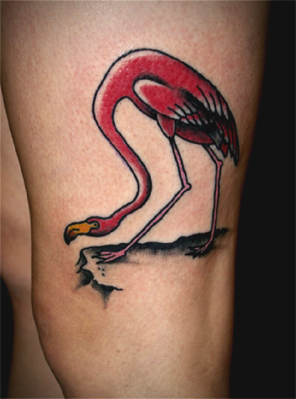 Flamingo Tattoo 12