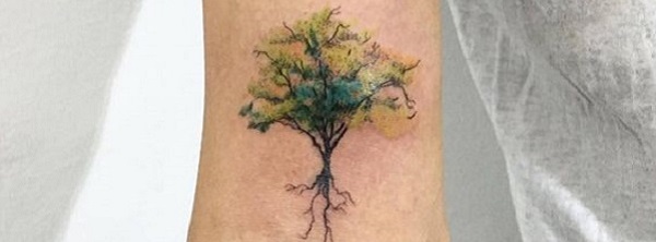 Autumn tree Done by Cam Sevigne at Great Spirits Greenfield Ma  rtattoo