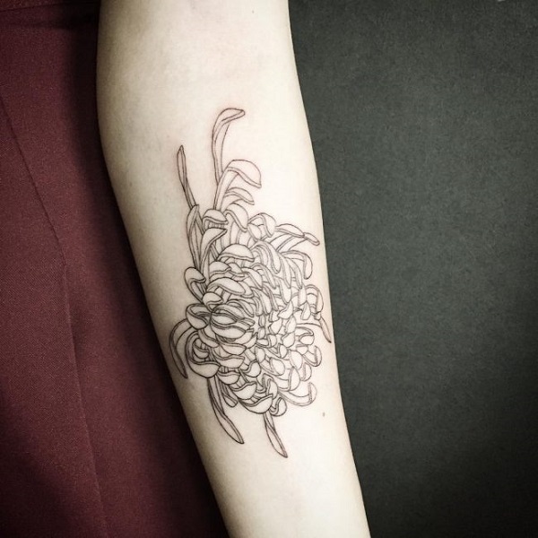 20+ Best Chrysanthemum Flower Tattoo Designs Just For You