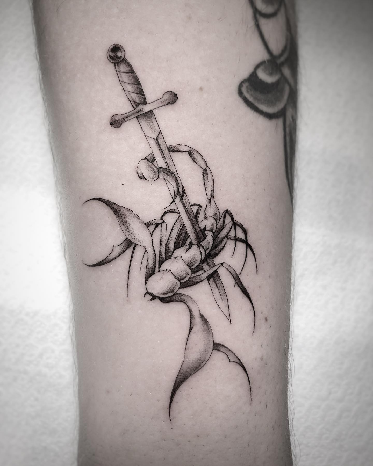 Scorpio script tattoo by @inkspiredyash @skinmachinetattoo . #scorpiotattoo  #inkedmen #artist #innerarmtattoo #scripttattoo #skinmachine... | Instagram