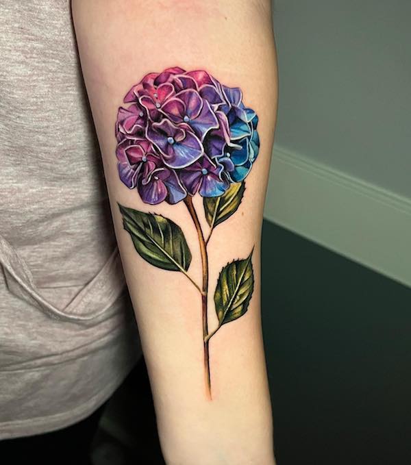 Hydrangea i just finished today for a friends tattoo Who else has  hydrangeas home  rhouseplants